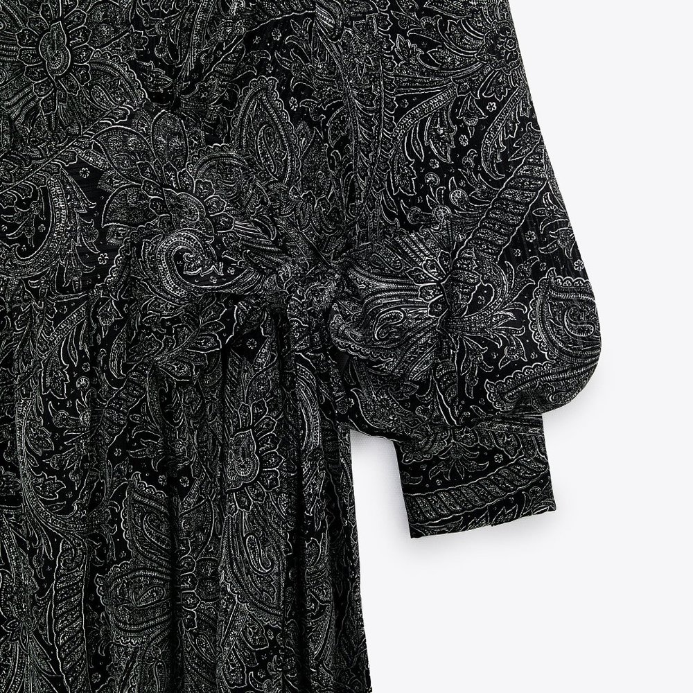Zara Limited Edition Long Printed Dress - Picture 6 of 13